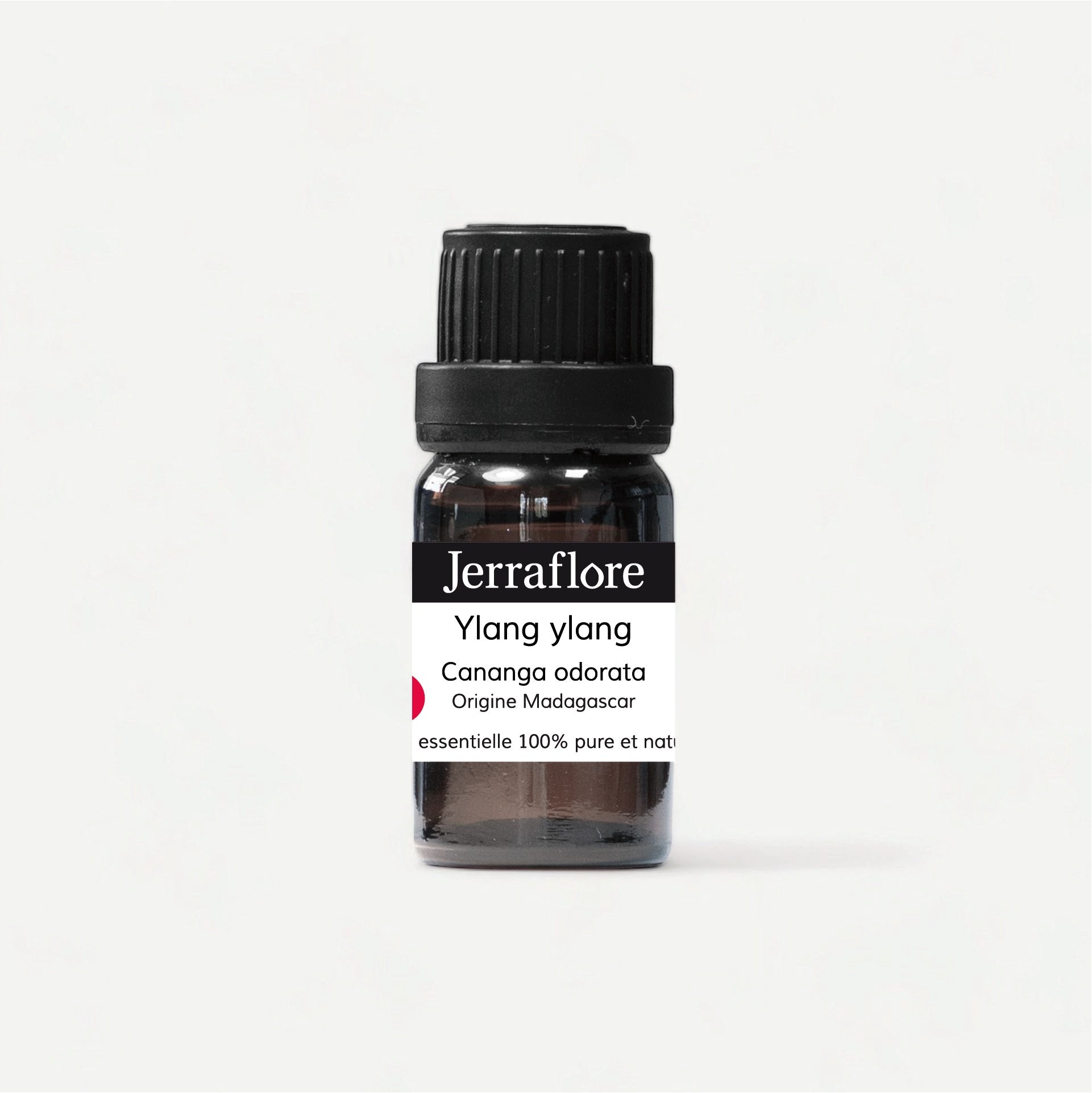 Ylang Ylang